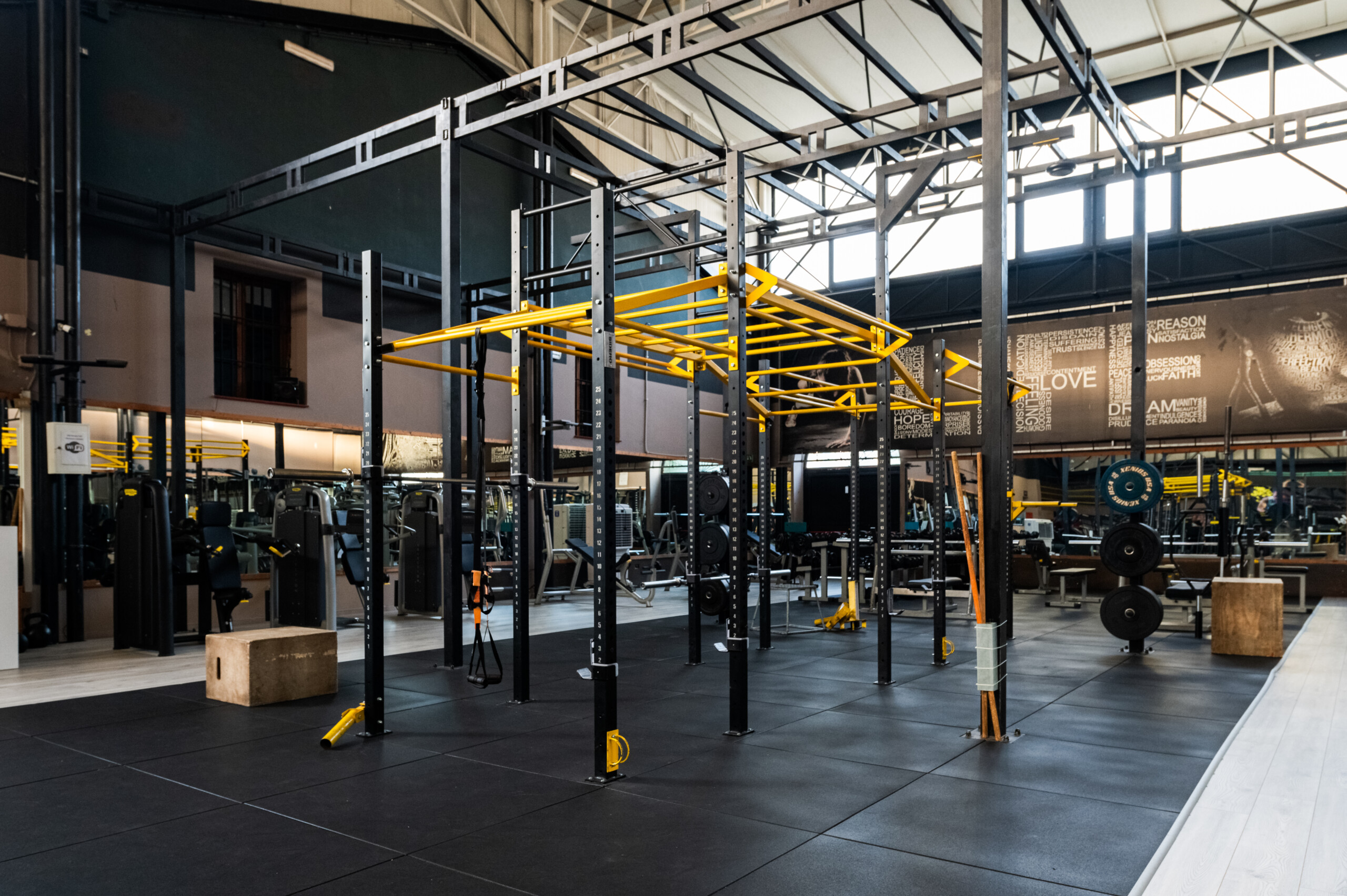 sala pesi colli body studio